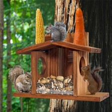 Eichhörnchen wetterfest futte gebraucht kaufen  Winsen