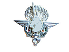 Rare french forces d'occasion  Expédié en Belgium