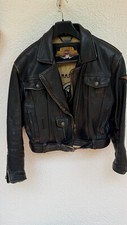 Riginal harley davidson gebraucht kaufen  Grünwald