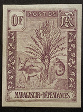 Madagascar zébu ravenala d'occasion  Réville
