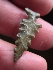 Authentic arrowheads texas for sale  Belleville