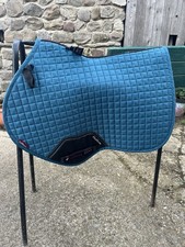 Mieux peacock for sale  RIPON