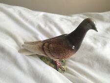 Beswick brown pigeon for sale  MELTON MOWBRAY