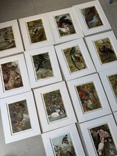 antique bird prints for sale antique bird prints for sale LONDON