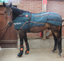 Bemer horse set gebraucht kaufen  Magdeburg