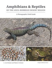 Amphibians reptiles anza for sale  Jessup