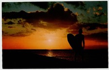 Hawaii sunset silhouette for sale  Sandusky