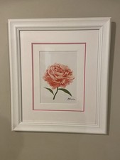 Pink peony watercolor for sale  Berwyn