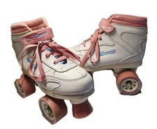 Chicago roller rink for sale  Broadway
