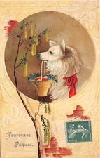 Cpa.chien carrying egg d'occasion  Expédié en Belgium