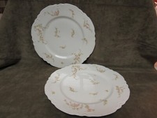 Vintage 1920 haviland for sale  Rice
