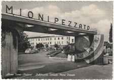 mioni pezzato abano usato  Isola Vicentina