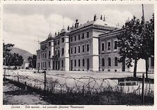Gorizia filo spinato usato  Roma