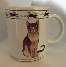Brown mackerel tabby for sale  Central Point