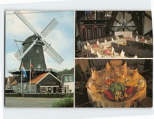 Postcard jonge dikkert for sale  Stevens Point