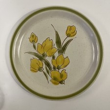 Stonybrook stoneware japan for sale  Mobile