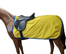 Pony exercise sheet for sale  PONTYCLUN