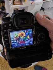 canon 7d gebraucht kaufen  Stetten