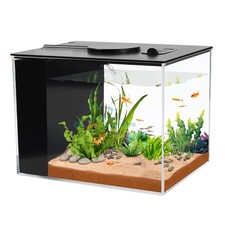 Small fish tank for sale  Madison