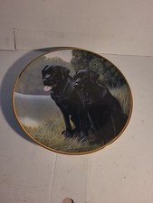 Nigel hemming ltd for sale  SHREWSBURY