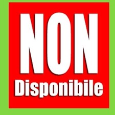 Work progress febbraio usato  Oria