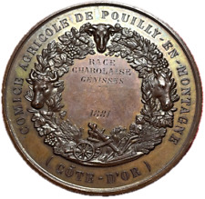 15173 médaille comité d'occasion  Rillieux-la-Pape