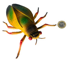 Giant fly cicada for sale  BLACKPOOL