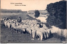 S20634 postcard bucy d'occasion  Expédié en Belgium