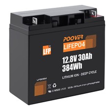 12v 30ah lifepo4 gebraucht kaufen  Neumünster