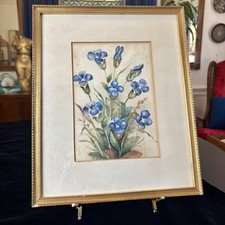 Vtg framed botanical for sale  New Haven