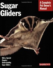Sugar gliders everything for sale  UK