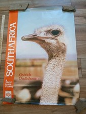 Vintage poster ostrich for sale  Middletown