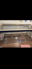 Reptile vivarium 4ft for sale  BANSTEAD