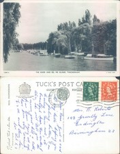 River eel pie for sale River eel pie for sale  ROSSENDALE