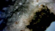 Wavellit rotläufchen waldgirm gebraucht kaufen  Grüna