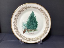 Lenox aleppo pine for sale  Davis Junction