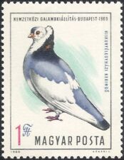 Hungary 1969 pigeon for sale  BIRMINGHAM