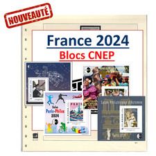Nouveauté safe jeu d'occasion  Tours-