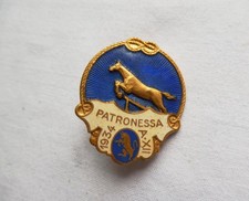 Distintivo patronessa torino usato  Correggio