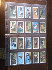 Full set bond for sale  RAYLEIGH