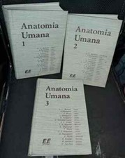 Anatomia umana e.e. usato  Nocera Superiore