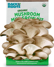 Organic mini mushroom for sale  Denver
