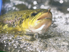 Hardy game fishing for sale  NORWICH