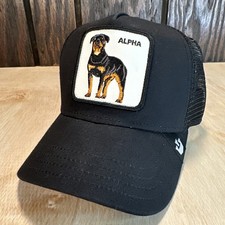 big rottweiler for sale big rottweiler for sale Kansas City
