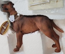 Best breed labrador for sale  UK