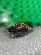Chinelos femininos Skechers leopardo bling espuma tamanho 8 em bom estado comprar usado  Enviando para Brazil
