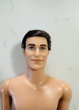 Nude ken doll for sale  Fresh Meadows