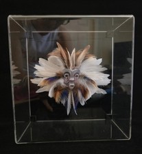 Robert shields signed for sale  Henderson