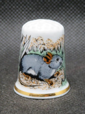 BIRCHCROFT BONE CHINA THIMBLE COLLECTION - DORMITÓRIOS comprar usado  Enviando para Brazil