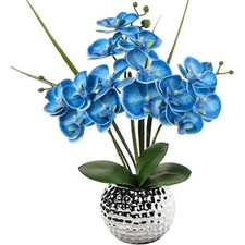 Cubilan blue artificial for sale  Chicago